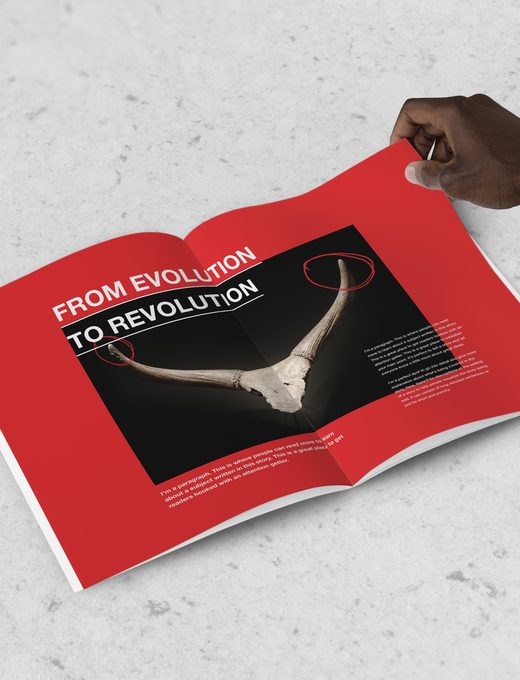 Lavoro Best Image — stampa creativa